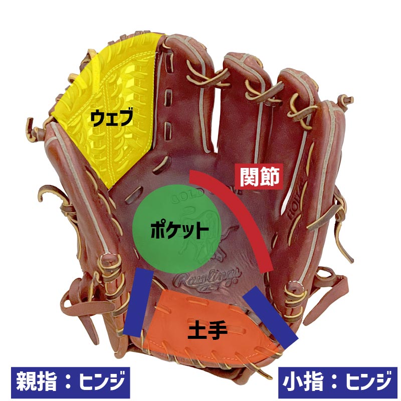 グローブの柔らかくする箇所