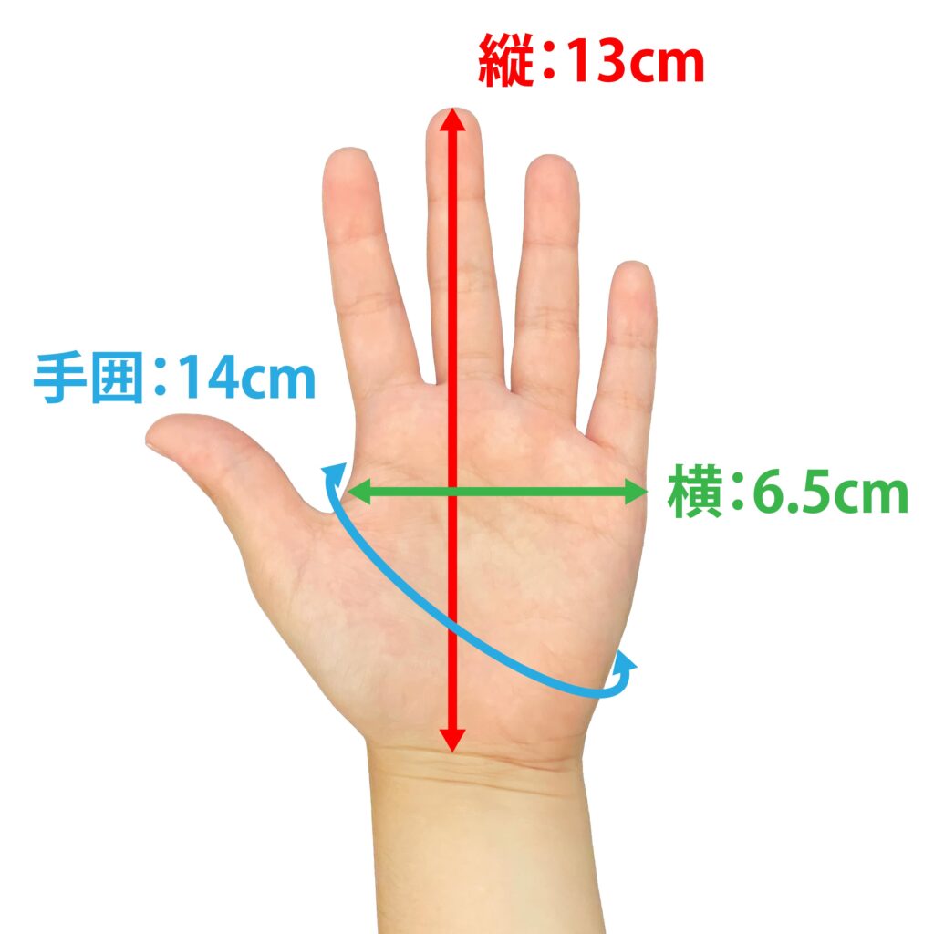 手サイズデータ