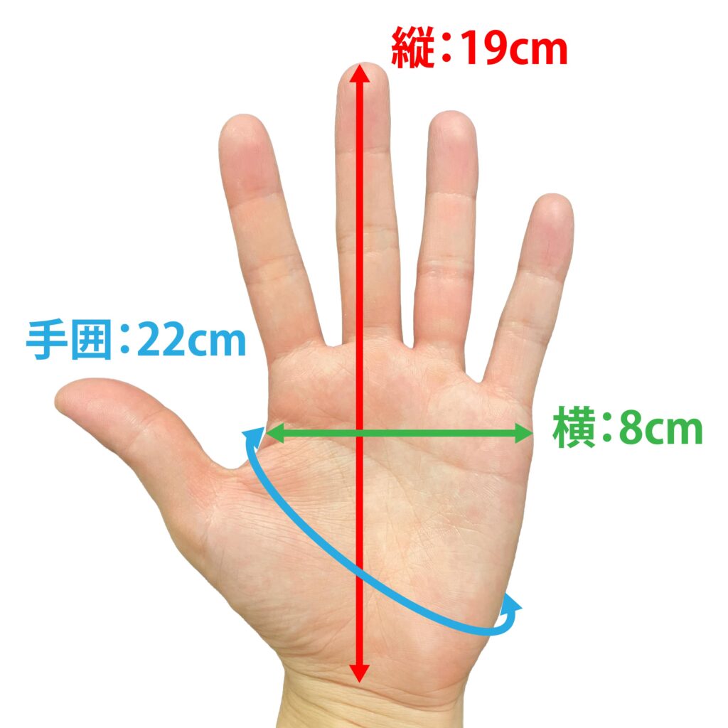 手のサイズ